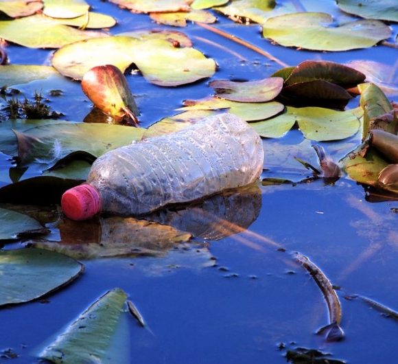 Plástico biodegradável se decompõe tão devagar quanto plástico normal