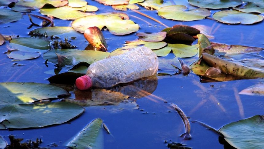 Plástico biodegradável se decompõe tão devagar quanto plástico normal