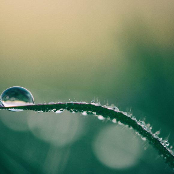 Água, natureza e mudança climática