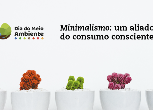 Minimalismo: um aliado do consumo consciente