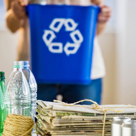 APRENDA A SEPARAR O QUE É ORGÂNICO, RECICLÁVEL E REJEITO
