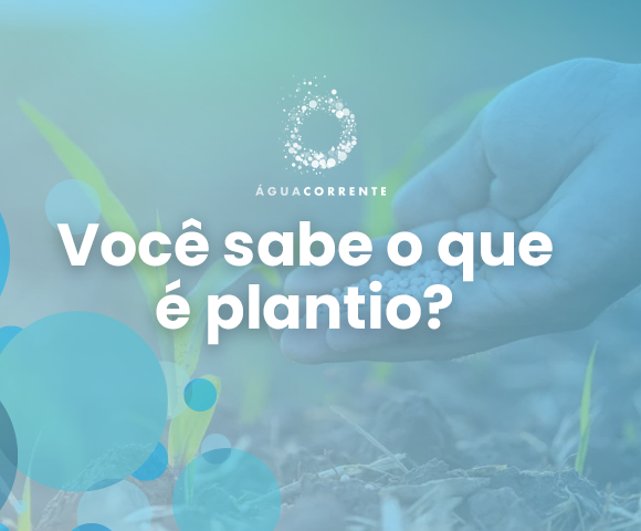 Dia da Água: Você sabe o que é plantio?