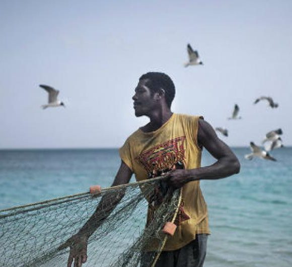 Dia da Água: Unesco declara a Década da Ciência Oceânica para o desenvolvimento sustentável