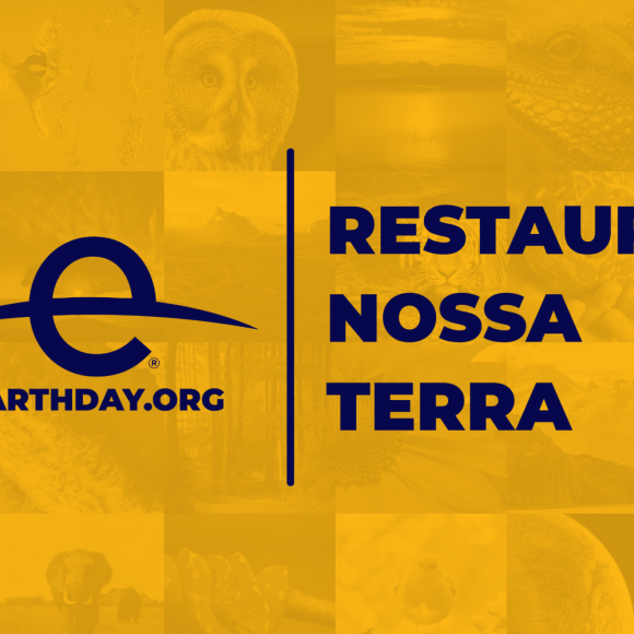 22 de abril, o Dia Mundial da Terra