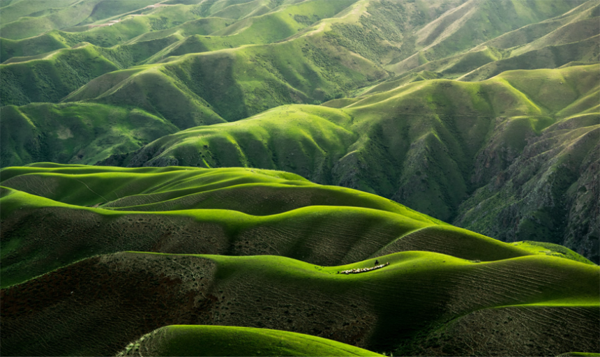 qingbao-meng-01_igFr7hd4-unsplash 50 ANOS DEPOIS: DIA DO MEIO AMBIENTE